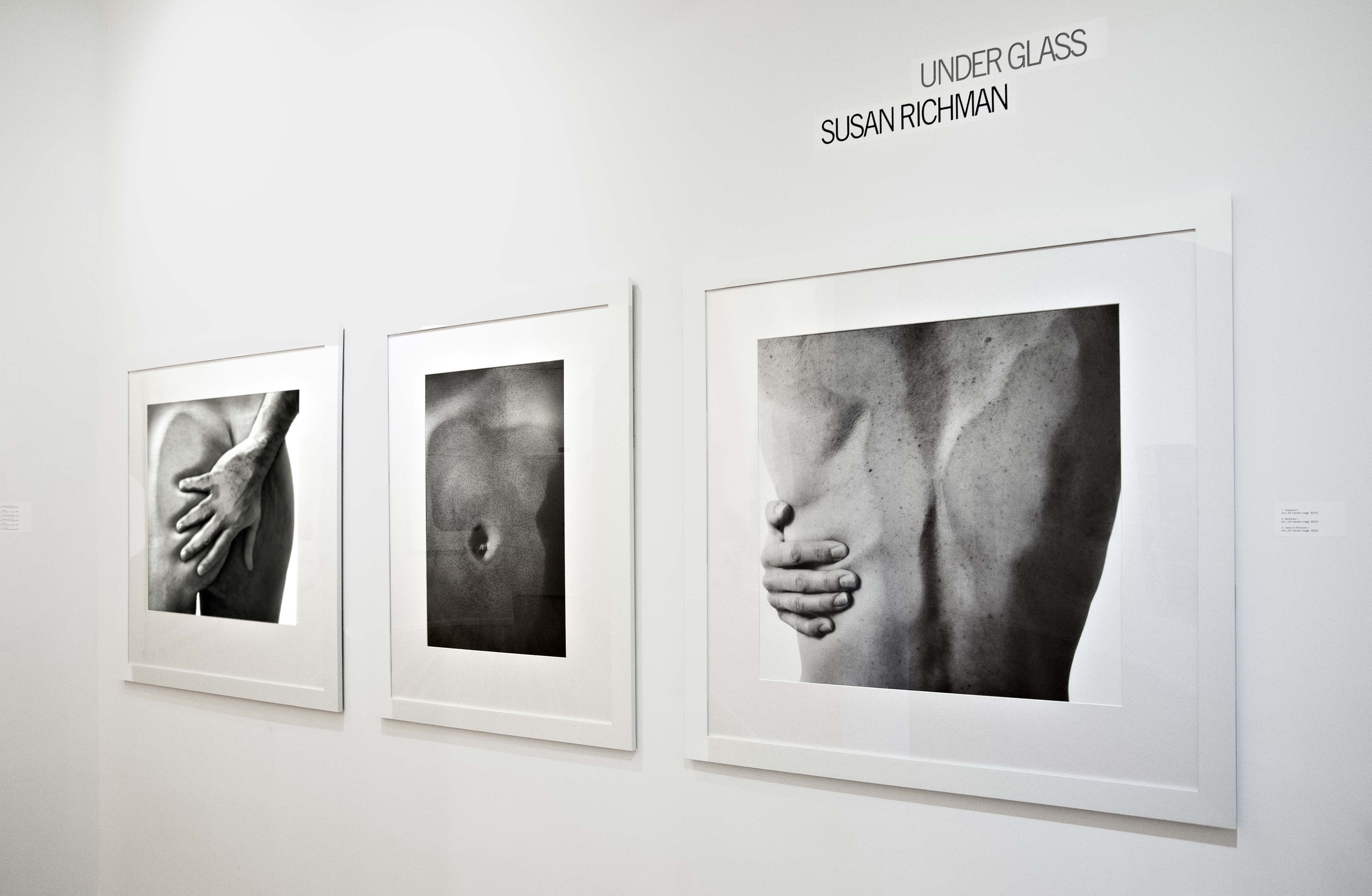 Under Glass, Upstream Gallery Exhibition- View 1