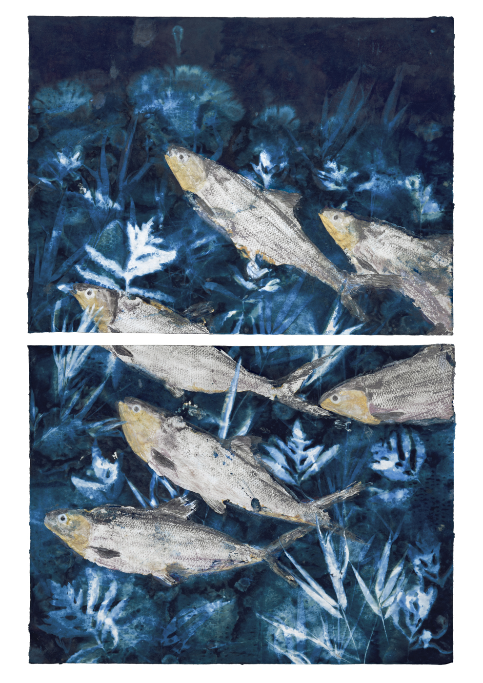 School Of MilkFish Diptych, 24" x 36.5"