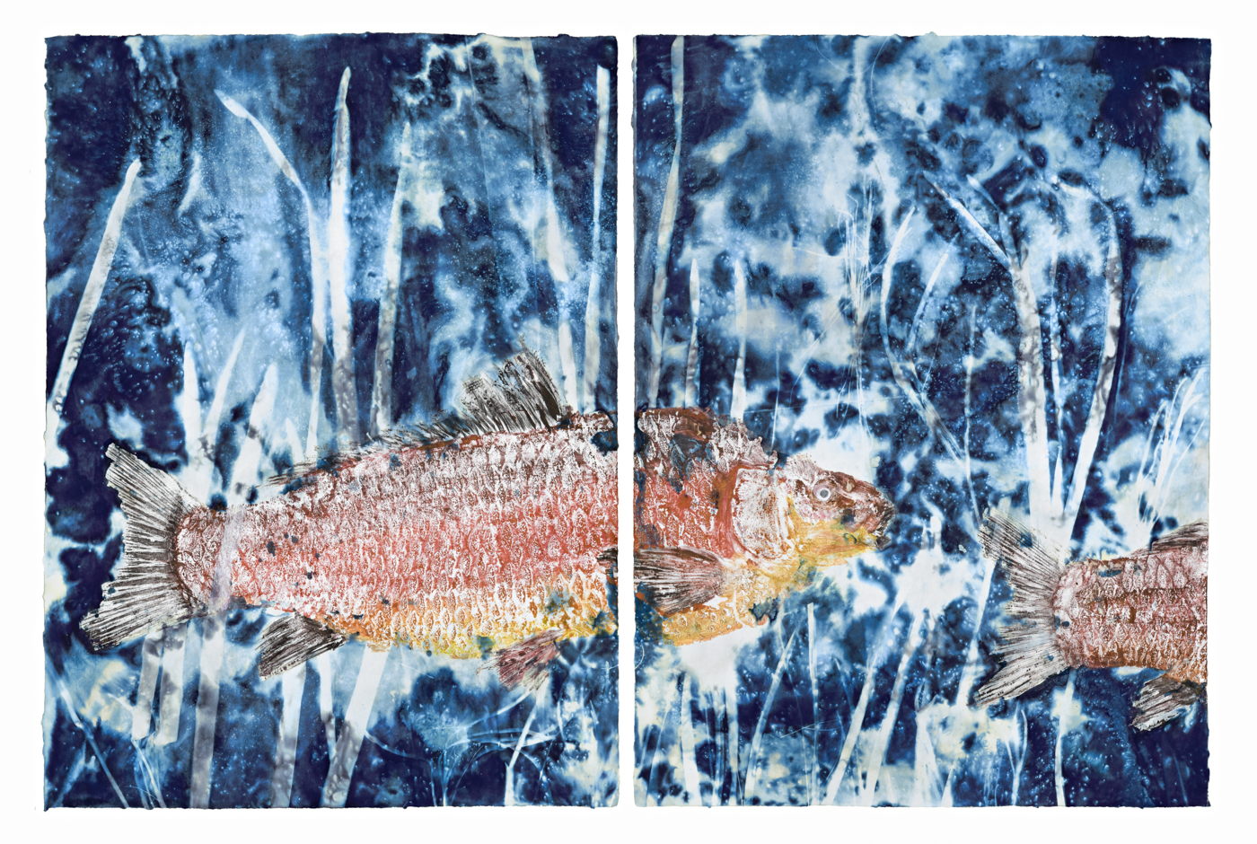 Two Red Carp Diptych, 24" x 18"